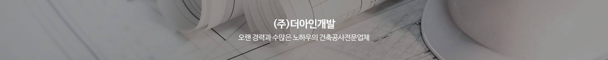 (주)더아인개발_이미지pc